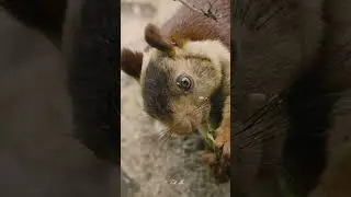 What I Discovered on World Wildlife Day Will Change Your Mind FOREVER