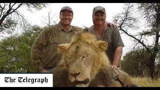 ✅  Trophy hunting imports to be banned in UK