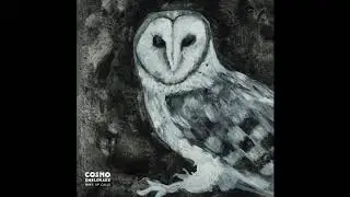 Cosmo Sheldrake - Marsh Warbler