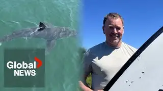 Nova Scotia man escapes unscathed after using paddle to repel shark