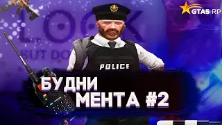 Будни мента #2 | Лидер LSPD - мс.Шеф и Бейби Мамба + ТУЛЛ