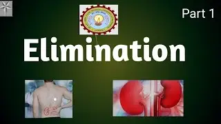 Elimination || Biotransformation|| Need Of Elimination|| Biopharmaceutics& Pharmacokinetics ||BP604T