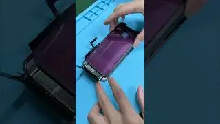 iPhone 11 Backlight Replacement #shorts