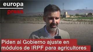 Junta de Andaluc&iacute;a pide al Estado corregir m&oacute;dulos IRPF 2024 para ayudar al sector agrario