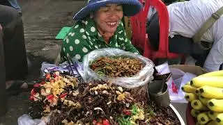 Amazing Khmer Bizarre Foods and Market Tour at a community | Daily life activity for livelihoods