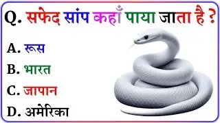Gk Questions And Answers || Gk in Hindi || General Knowledge || Gk Quiz || NNB GK STUDY