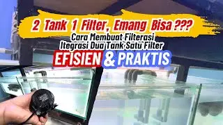 Efisien & Praktis! 2 Tank 1 Filter Emang Bisa? Cara Membuat Filterasi Itegrasi 2 Tank 1 Filter