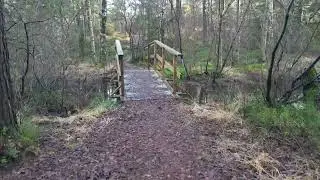 Drone on a trial in nature, tracked by the pilot. Difficulties for both drone and pilot. Text below.