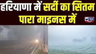 Haryana Weather: ठंड ने कंपाएं हाड़, IMD ने किया मौसम पर बड़ा खुलासा ! Haryana News