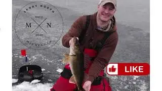 Northern MN Fishing Forecast - President's Day Weekend