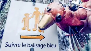 Dabchick has a PANIC ATTACK
