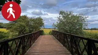 A Beautiful Summer Walk In The Scottish Countryside: The John Muir Way