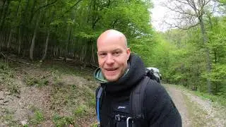 Abenteuer im Hinterlandswald I