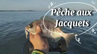 P&Ecirc;CHE aux JACQUETS, de L'ENCORNET pour du GRISET