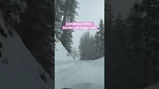 Dangerous drive in the mountains through snowy and foggy forest
