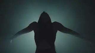 Phantom Limb - Empty Chest (Official Music Video)