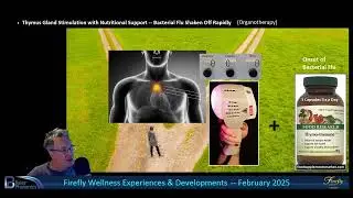 Firefly Wellness: Thymus Gland Stimulation with Nutritional Support (Organotherapy) by Jim Nicholson