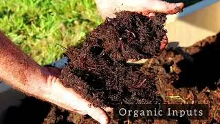 Divine Millet Movement - Video 2: Environmental Perspective
