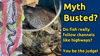 Do crappie follow channels like highways? Myth or Fact? #acccrappiestix #crappiefishing #livescope