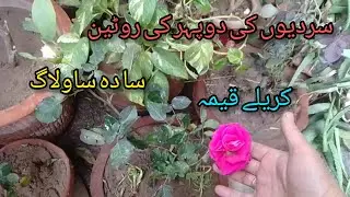 Serdiyoo ki Duphair ki routine| sadha sa vlog|Kereyle Qeema Recipe|ByMyStyleVlogs 