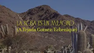 Leo Goldstein Quinteto & Gabi del Cid &ndash;La Rosa es un Milagro (Silencio Puro)