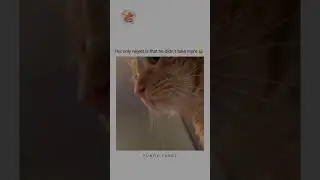 The Great Nugget Heist