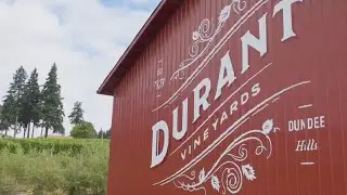 Tips for family-friendly outings in Oregon wine country