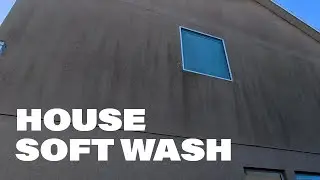 Soft Washing a Moldy Stucco Home + Driveway Cleaning