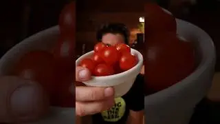 🍅 Tomato Experiment Results! #growingtomatoes #gardeningtips #gardensoil
