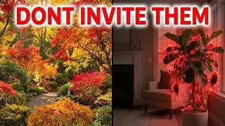 The 
