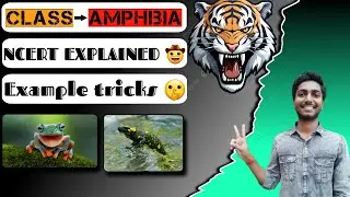 Class Amphibia 🐸 Full NCERT Explanation | Example Tricks | Animal kingdom | #biology