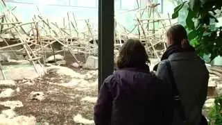 Trauer um Silberr&uuml;cken-Gorilla im Tierpark Hellabrunn in M&uuml;nchen