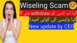 Wiseling Withdraw Updates || Kya Monday ko withdraw Milay Ga?