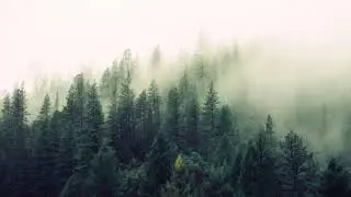 Visualizing Your Desired Reality From All Dimensions of the Mind