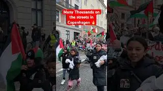 Subscribe and support ❤️#denmarklive #pal&aelig;stina #protest #palestinewillbefreedom