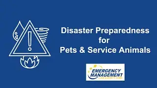 Disaster Preparedness for Pets and Service Animals