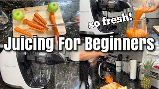 Easy Juicing Recipes for Beginners | AMZCHEF Cold Press Juicer