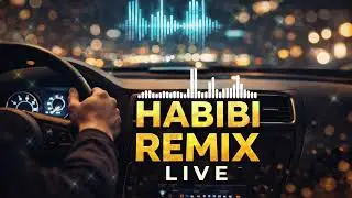 Tungi Vibe | Arabic Deep House 🏜️ Habibi Remix You Can&rsquo;t Skip