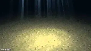 Blender: Underwater Volumetric Lighting Test