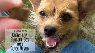 Chewy.com Blogger Box June 2015