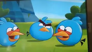 Angry Birds Toons Episode 11 Slingshot 101