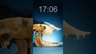 Did you get it right? What time?