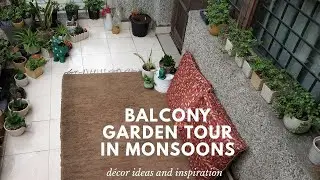 Balcony Garden Tour in monsoons #balconytour #balconygarden