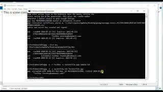 Simple encryption/decryption using gpg4win from command line