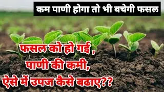 how to remove water stress of plant/apsa80
