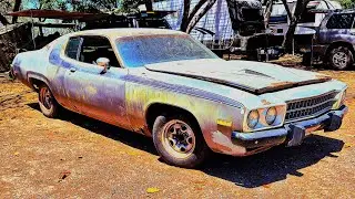 Дорожный тест Big Block Road Runner!