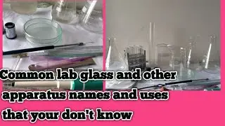 Common Science lab apparatus name and their uses | Lab glassweres | Science lab | Microbiology lab