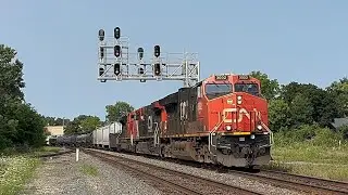 CN Trains in Durand, MI (features Amtrak, G894 yard pickup, and more!) (8/2/25)