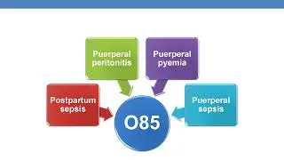 2023 icd 10cm coding guidelines for chapter 15  Pregnancy, childbirth & puerperium part 5
