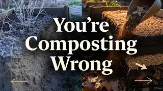 Stop Filling Raised Beds with Compost! Use this Winter Shortcut Instead #compost #soilhealth #seedly